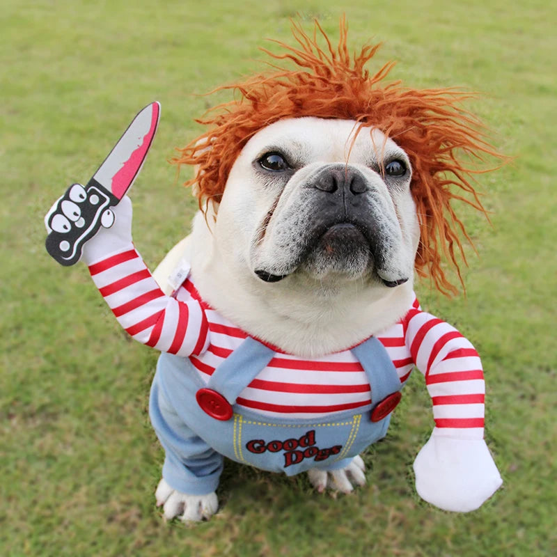 Buy Funny Halloween Dog Costume - PetLark Pet Store