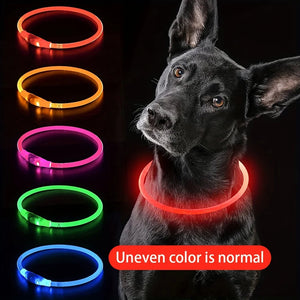 LED Dog Collar - PetLark Pet Store
