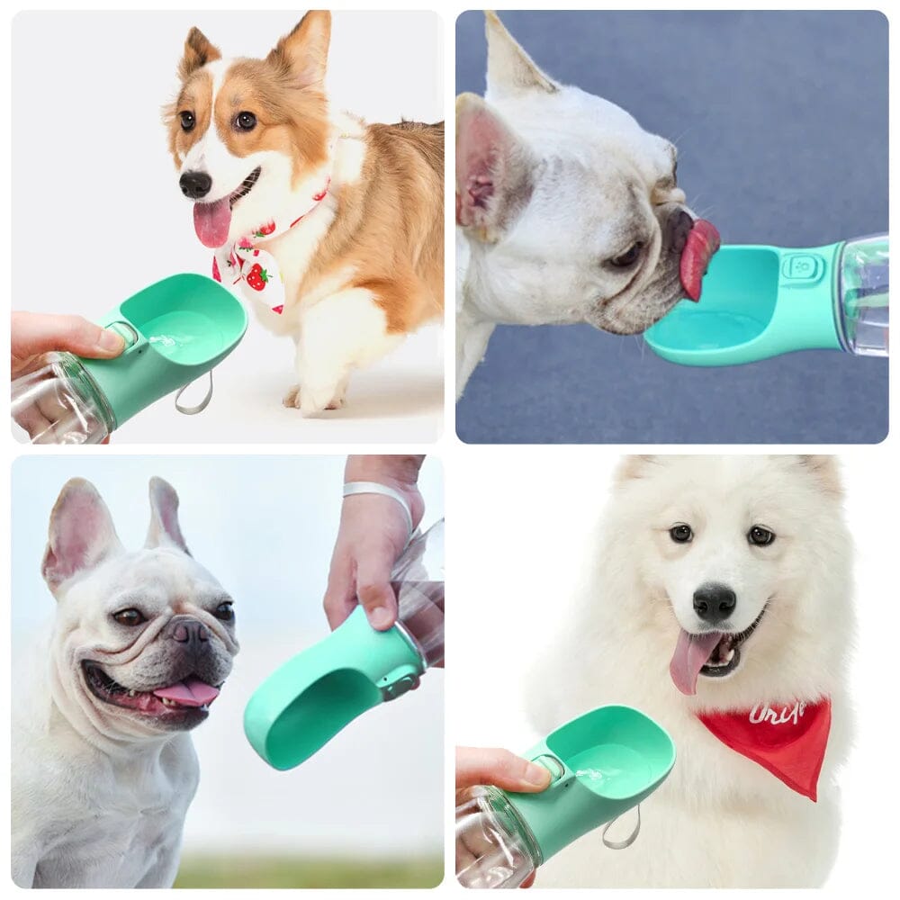 Portable Pet Water Bottle - PetLark Pet Store