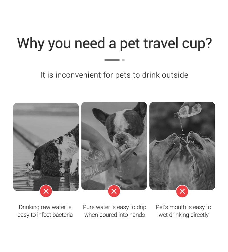 Portable Pet Water Bottle - PetLark Pet Store