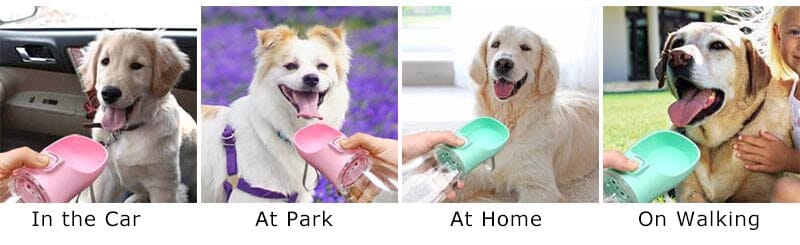 Portable Pet Water Bottle - PetLark Pet Store