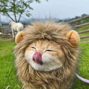 Lion Mane Pet Wig - PetLark Pet Store